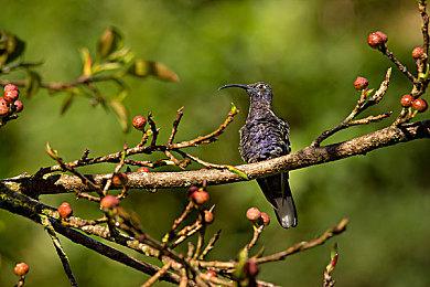 3D动作平台《太阳灰国》公布发售日宣传片 登陆Epic商店